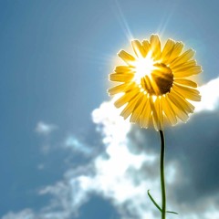 Sunshine and Gratitude: Thanks for all your playlists and comments on Nothing But (The Sound) Pt. 1