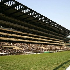 JRA 払戻し確定