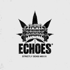 DJ DROOPY'S STRICTLY SENSI MIX - ECHOES RADIO 001