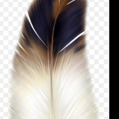 Light as a Feather (LiLBowlzzz X 2Flex