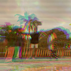 Watching Birds In Paradise - 1/11/24