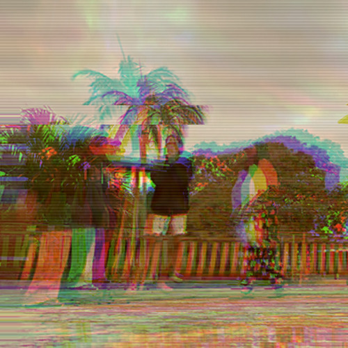 Watching Birds In Paradise - 1/11/24