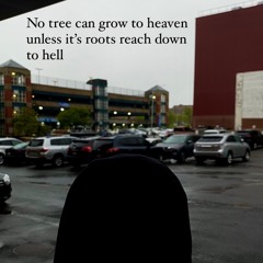 Rarari300xDu-Honestly