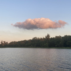 committed to nothing