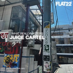 PREMIERE: Juice Cartel - What Really Matters (Griggys Remix)