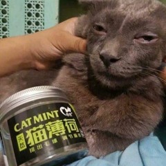 Bodies (Phiso Remix) X Death Pit X Mammoth X Welcome Tune X Undefeated X Choppaz