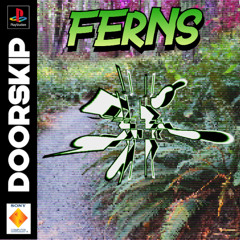 Ferns