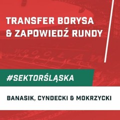 Transfer Borysa & zapowiedź rundy (podcast Sektor Śląska odc. 108)