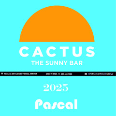 Cactus The Sunny Bar (24 August, 2hours of event, Afro House set - Pascal mix 2025, Arkitsa, Greece)