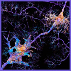 Neuron Glitter