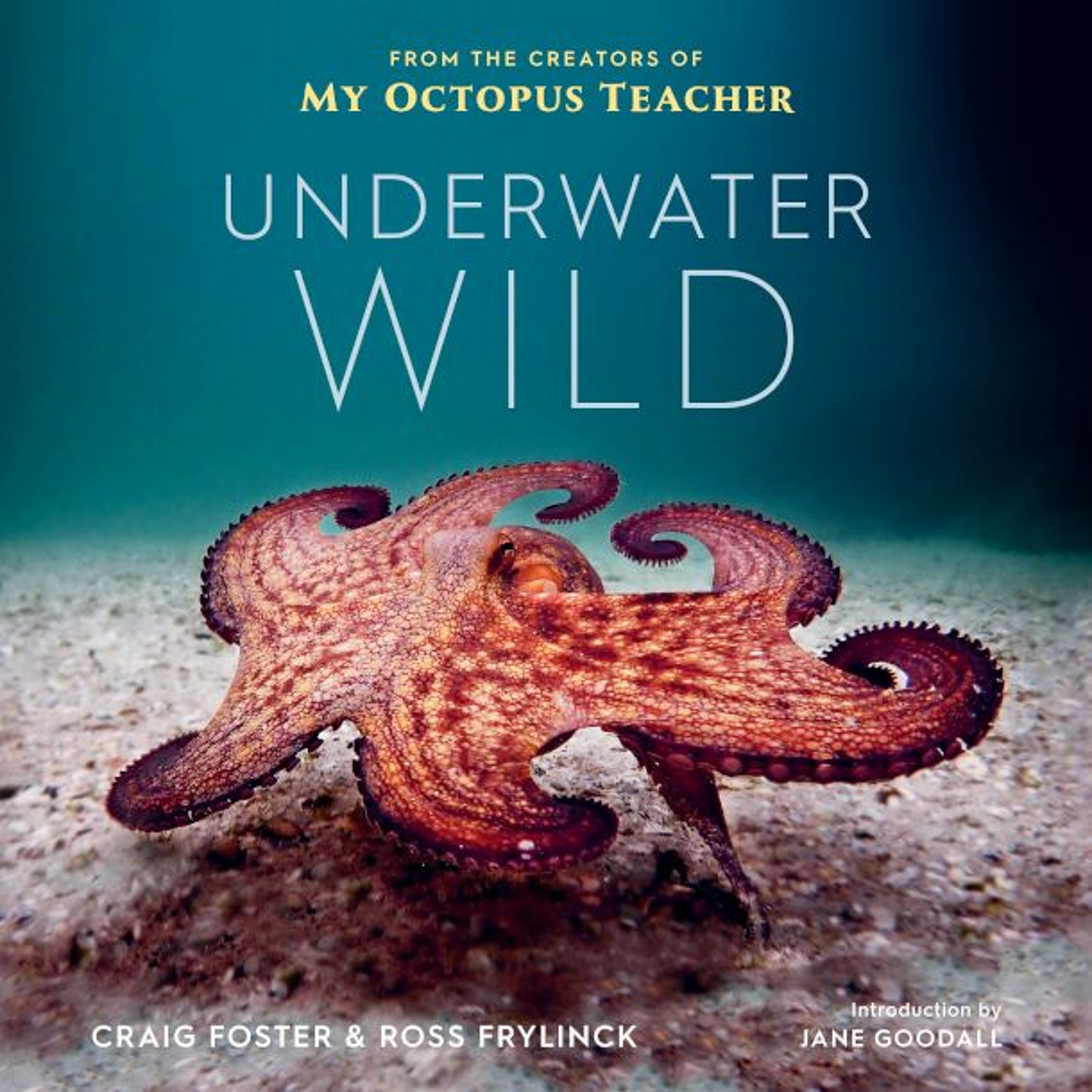 Underwater Wild: My Octopus Teacher’s Extraordinary World, Plastics and Autism, and more episode artwork