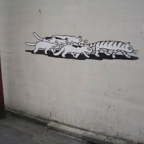 I Don't Mind Our Silence