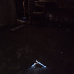 Yno tengo na pa comer