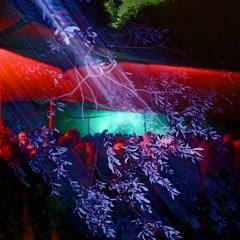 Moopie  - Live at Butik Festival 2025