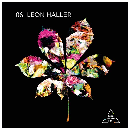 06 ▲ LEON HALLER