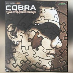 စွန့်စားမယ့်အချစ် Cobra