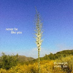 Never Be Like You (it's murph Remix) [ViVRE Edit]