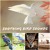 Artwork for Birds in the Forest