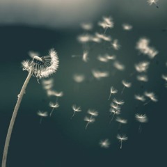 Letting Go""Bırakmak