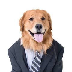 You