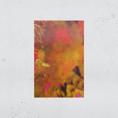 BCCO Premiere: Alarico - Fat Lines [HYSEP32]
