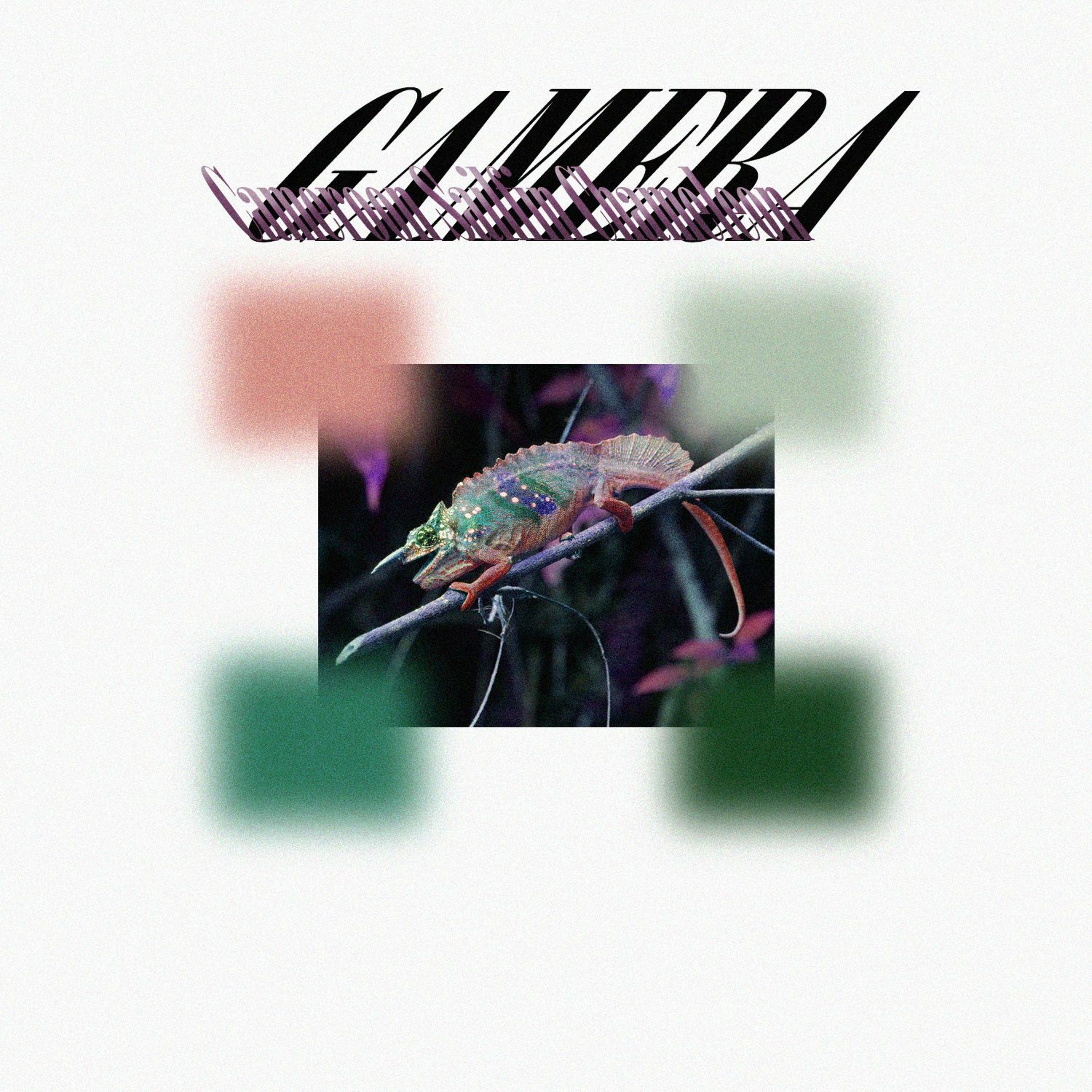 GAMERA aka GMRA