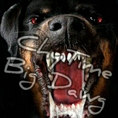 Big Dawg