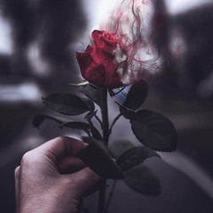 [LeeTeKK] - Rosen (165er)