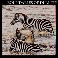 Boundaries of Duality