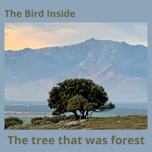THE TREE THAT WAS FOREST