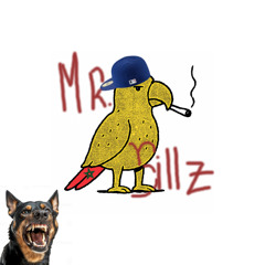 Mr.Billz (Prod. by  Billz)