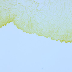 Formant, Closing @Bloom, Kauz Zürich 10.10.2025