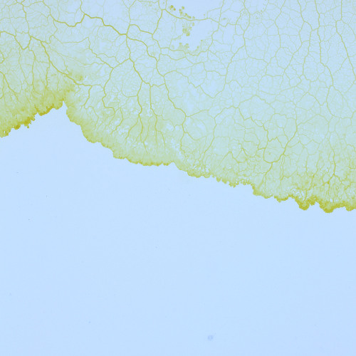 Formant, Closing @Bloom, Kauz Zürich 10.10.2025