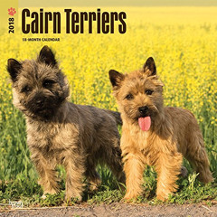 FREE EPUB 📘 Cairn Terriers 2018 12 x 12 Inch Monthly Square Wall Calendar, Animals D
