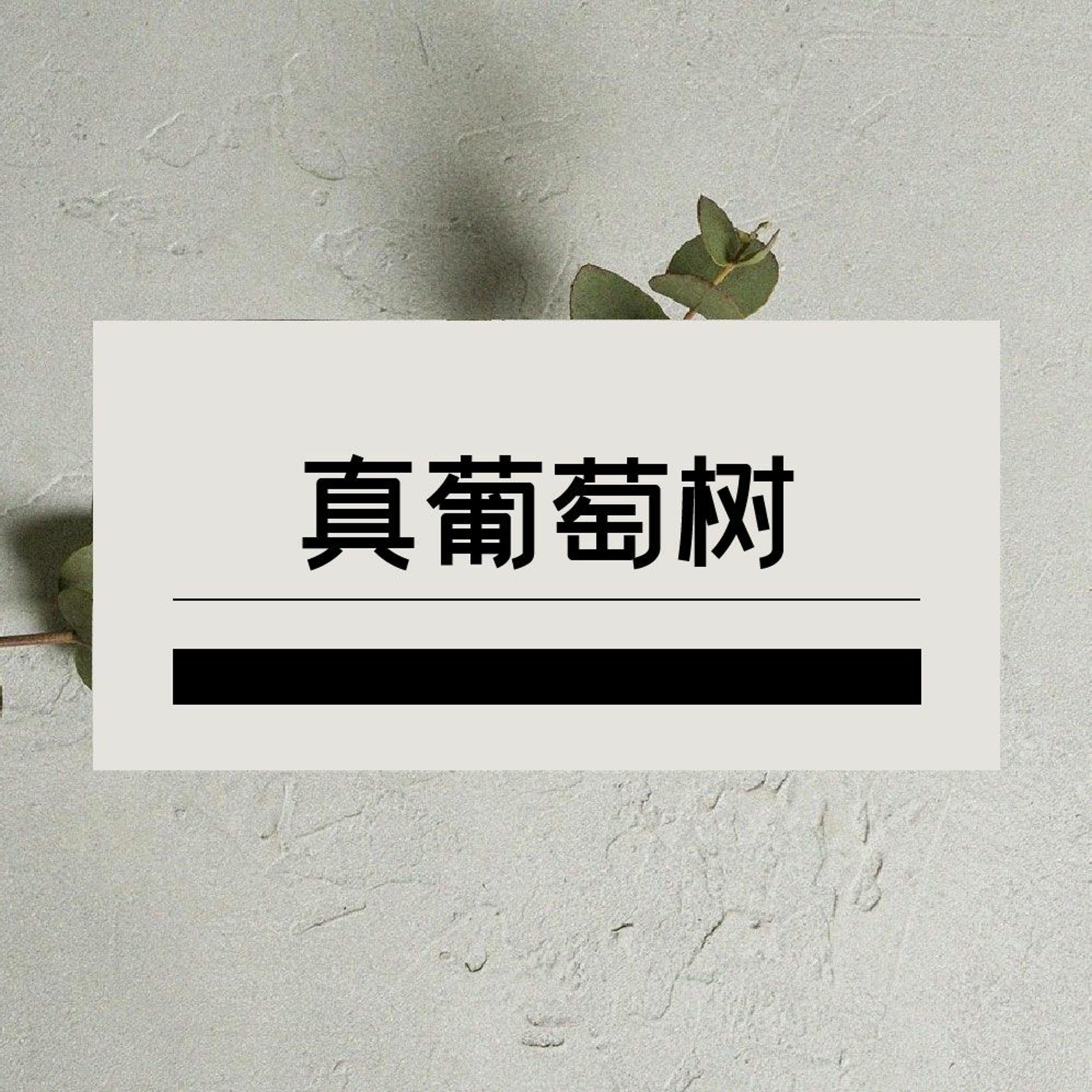 11/13/2022【赢得基督】真葡萄树（约15:1-8） ——王唯权 牧师 episode artwork