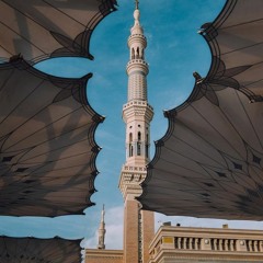صلوا على المصطفى( بدون موسيقى)  - المنشد رضوان محمود مع عبدالرحمن الجنايني و سجى سعيد
