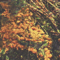 Washing Dishes - Cindy invites Risto Urra @ Furka Radio - 22.05.2025