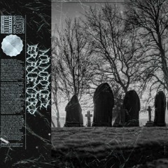 NONAMEZ GRAVEYARD 2022