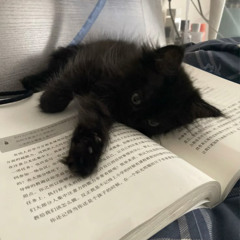 sai nara - Horsepower