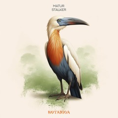 Matur - Stalker (Mnml Voice Mix) [BANDCAMP]