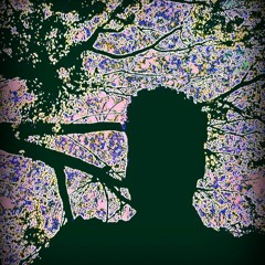 AlanKempton Alan Kempton 01 Hillbilly Jaw Harp Indie - Alternative