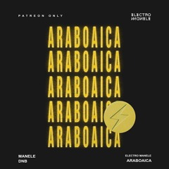araboaica (manele dnb)
