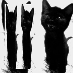 im 2 nice p.bxndobxbii