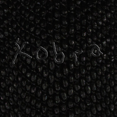BVSIS - Kobra