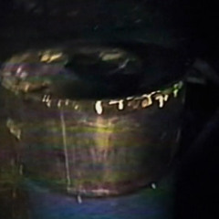 TOXIC AUTOPSY