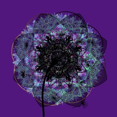 Outro (Biology & Cosmology) - Serendipity LP - Flower Prince - http://bit.ly/Treillebon