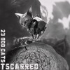 Download Video: Tscarred