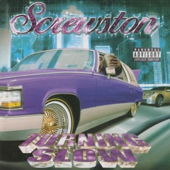 254 (feat. Playaz Dynasty)