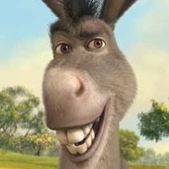 That Talking Donkey