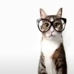 ON THAT BXTCH (Ultra Slowed)